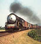 140_indian_train1.jpg