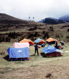 160_tents.jpg